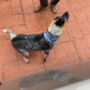 Meet your Posher, Justin